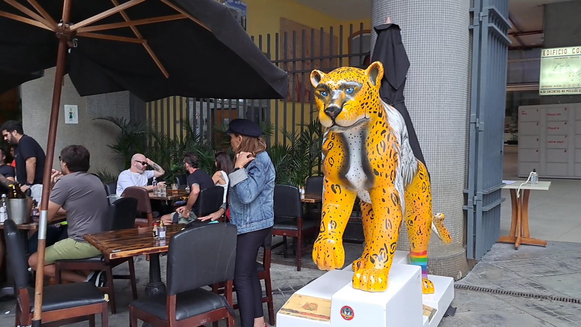 Bar da Dona Onça
